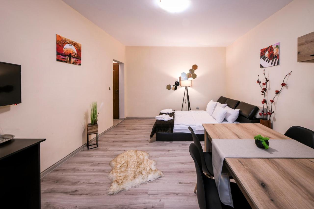 Family Hotel Ski Lift Hotel バンスコ エクステリア 写真